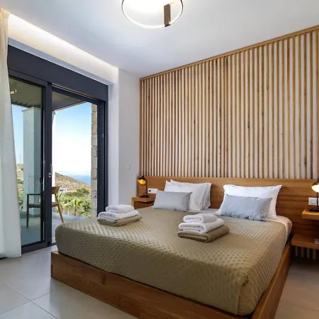 Agapanthus Ultimate Luxury *