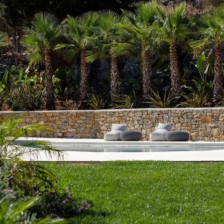 Agapanthus Ultimate Luxury